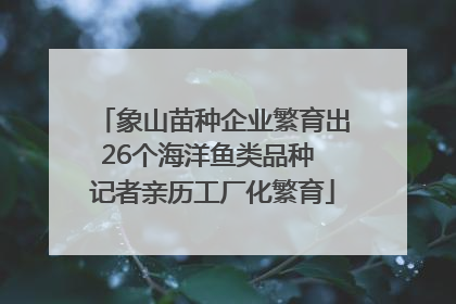 象山苗种企业繁育出26个海洋鱼类品种 记者亲历工厂化繁育