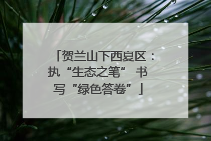 贺兰山下西夏区：执“生态之笔” 书写“绿色答卷”