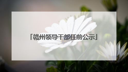 赣州领导干部任前公示