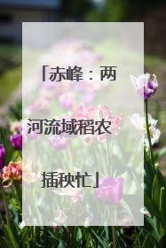 赤峰：两河流域稻农插秧忙