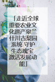 走近全球重要农业文化遗产皋兰什川古梨园系统 守护生态瑰宝 激活发展动能