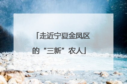 走近宁夏金凤区的“三新”农人