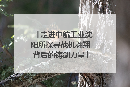 走进中航工业沈阳所探寻战机翱翔背后的铸剑力量