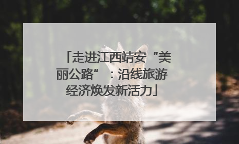 走进江西靖安“美丽公路”：沿线旅游经济焕发新活力