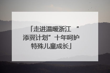 走进温暖浙江 “添翼计划”十年呵护特殊儿童成长