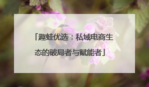 趣蛙优选：私域电商生态的破局者与赋能者