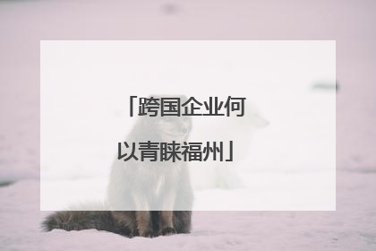 跨国企业何以青睐福州