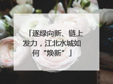 逐绿向新、链上发力，江北水城如何“焕新”