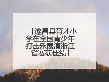 遂昌县育才小学在全国青少年打击乐展演浙江省赛获佳绩