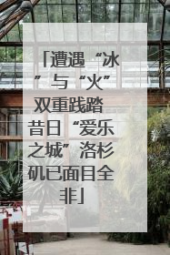 遭遇“冰”与“火”双重践踏 昔日“爱乐之城”洛杉矶已面目全非