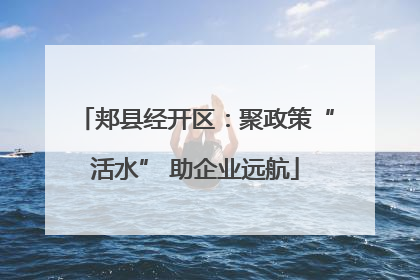 郏县经开区：聚政策“活水” 助企业远航