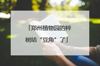 郑州植物园的梓树结“豆角”了