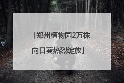 郑州植物园2万株向日葵热烈绽放
