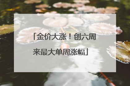 金价大涨！创六周来最大单周涨幅