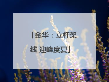 金华：立杆架线 迎峰度夏