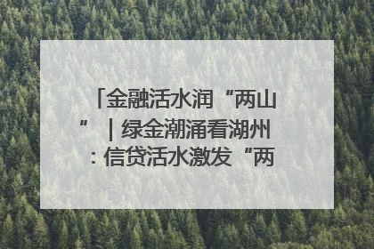 金融活水润“两山”｜绿金潮涌看湖州：信贷活水激发“两山”转化势能