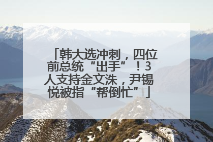 韩大选冲刺，四位前总统“出手”！3人支持金文洙，尹锡悦被指“帮倒忙”