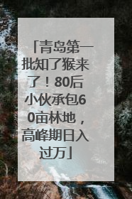 青岛第一批知了猴来了！80后小伙承包60亩林地，高峰期日入过万