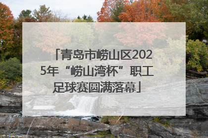 青岛市崂山区2025年“崂山湾杯”职工足球赛圆满落幕