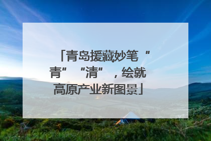 青岛援藏妙笔“青”“清”，绘就高原产业新图景
