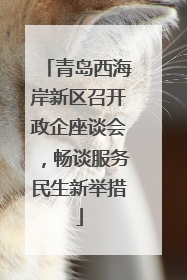 青岛西海岸新区召开政企座谈会，畅谈服务民生新举措