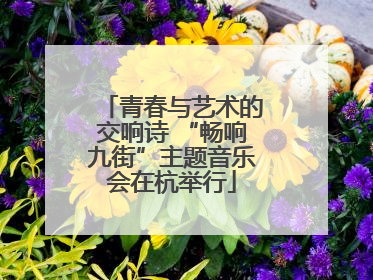 青春与艺术的交响诗 “畅响九街”主题音乐会在杭举行