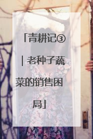 青耕记③｜老种子蔬菜的销售困局