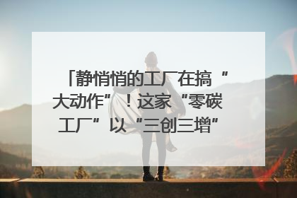 静悄悄的工厂在搞“大动作”！这家“零碳工厂”以“三创三增”探索共富新路径｜网络名人四川行