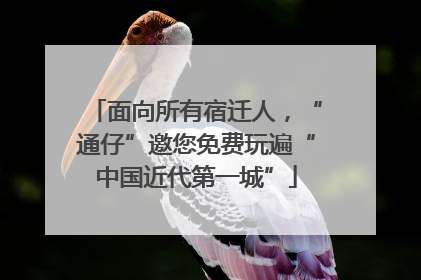 面向所有宿迁人，“通仔”邀您免费玩遍“中国近代第一城”