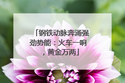 钢铁动脉奔涌强劲势能：火车一响，黄金万两