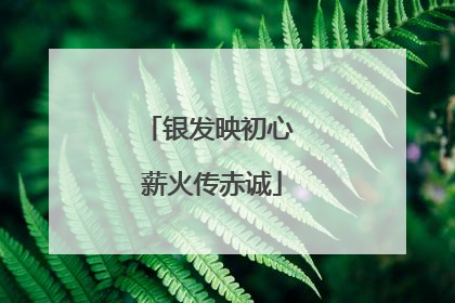 银发映初心 薪火传赤诚