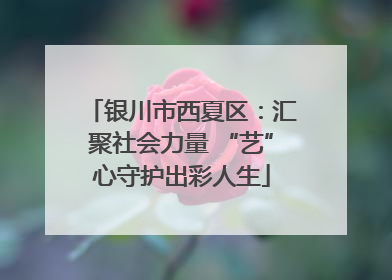 银川市西夏区：汇聚社会力量 “艺”心守护出彩人生