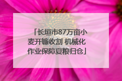 长垣市87万亩小麦开镰收割 机械化作业保障夏粮归仓