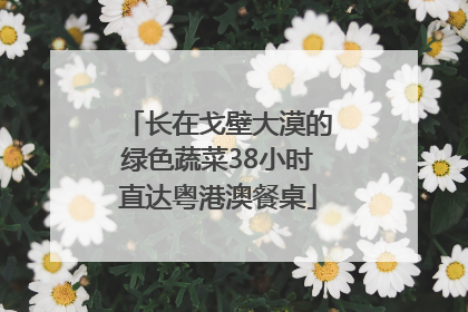 长在戈壁大漠的绿色蔬菜38小时直达粤港澳餐桌