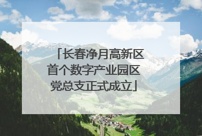 长春净月高新区首个数字产业园区党总支正式成立