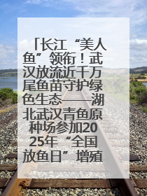 长江“美人鱼”领衔！武汉放流近千万尾鱼苗守护绿色生态——湖北武汉青鱼原种场参加2025年“全国放鱼日”增殖放流活动