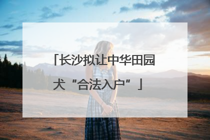 长沙拟让中华田园犬“合法入户”