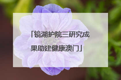 镜湖护院三研究成果助建健康澳门