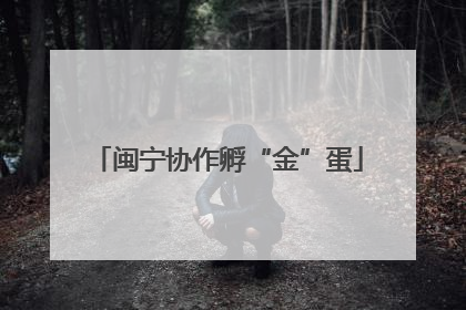 闽宁协作孵“金”蛋