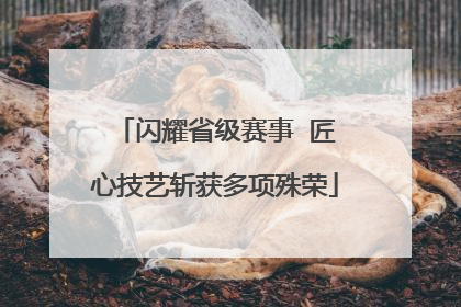 闪耀省级赛事  匠心技艺斩获多项殊荣