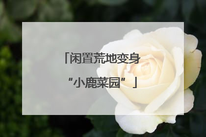 闲置荒地变身“小鹿菜园”