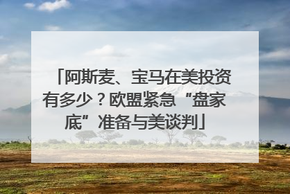 阿斯麦、宝马在美投资有多少?欧盟紧急“盘家底”准备与美谈判