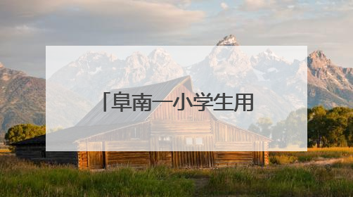 阜南一小学生用压岁钱买水为中高考学子送清凉