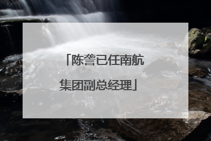 陈詟已任南航集团副总经理