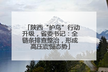 陕西“护鸟”行动升级，省委书记：全链条排查整治，形成高压震慑态势