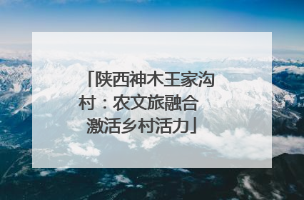 陕西神木王家沟村：农文旅融合 激活乡村活力