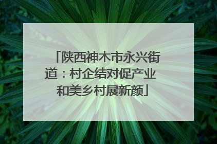 陕西神木市永兴街道：村企结对促产业 和美乡村展新颜