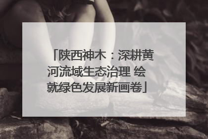 陕西神木：深耕黄河流域生态治理 绘就绿色发展新画卷