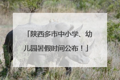 陕西多市中小学、幼儿园暑假时间公布！