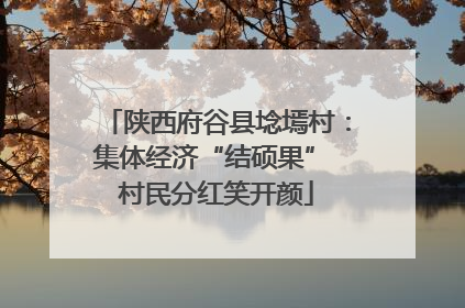 陕西府谷县埝墕村：集体经济“结硕果” 村民分红笑开颜